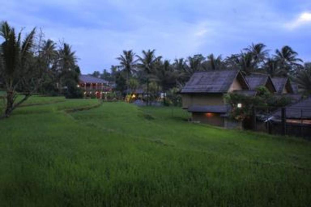 Sambi Resort, Spa & Resto Bedojo Exterior foto